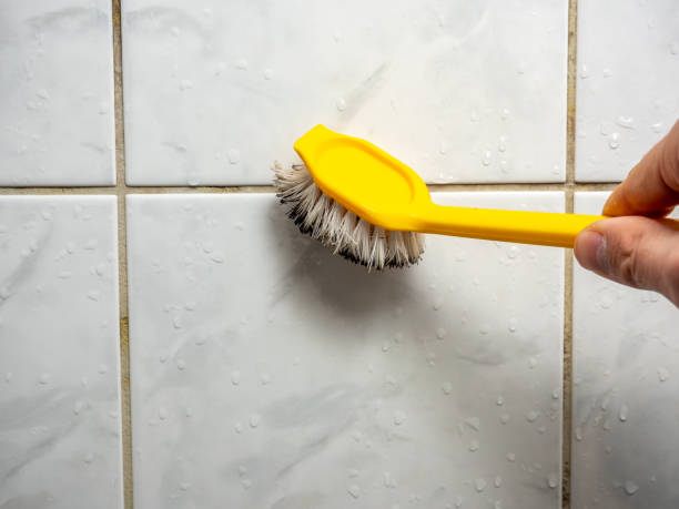 Best Local Mold Removal Service  in Eastwood, LA