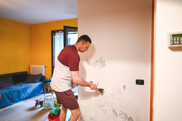 Best Residential Mold Removal  in Eastwood, LA